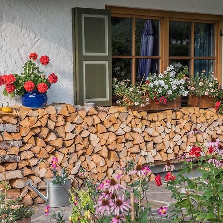 Ferienwohnung Gipfelblick غرينو المظهر الخارجي الصورة